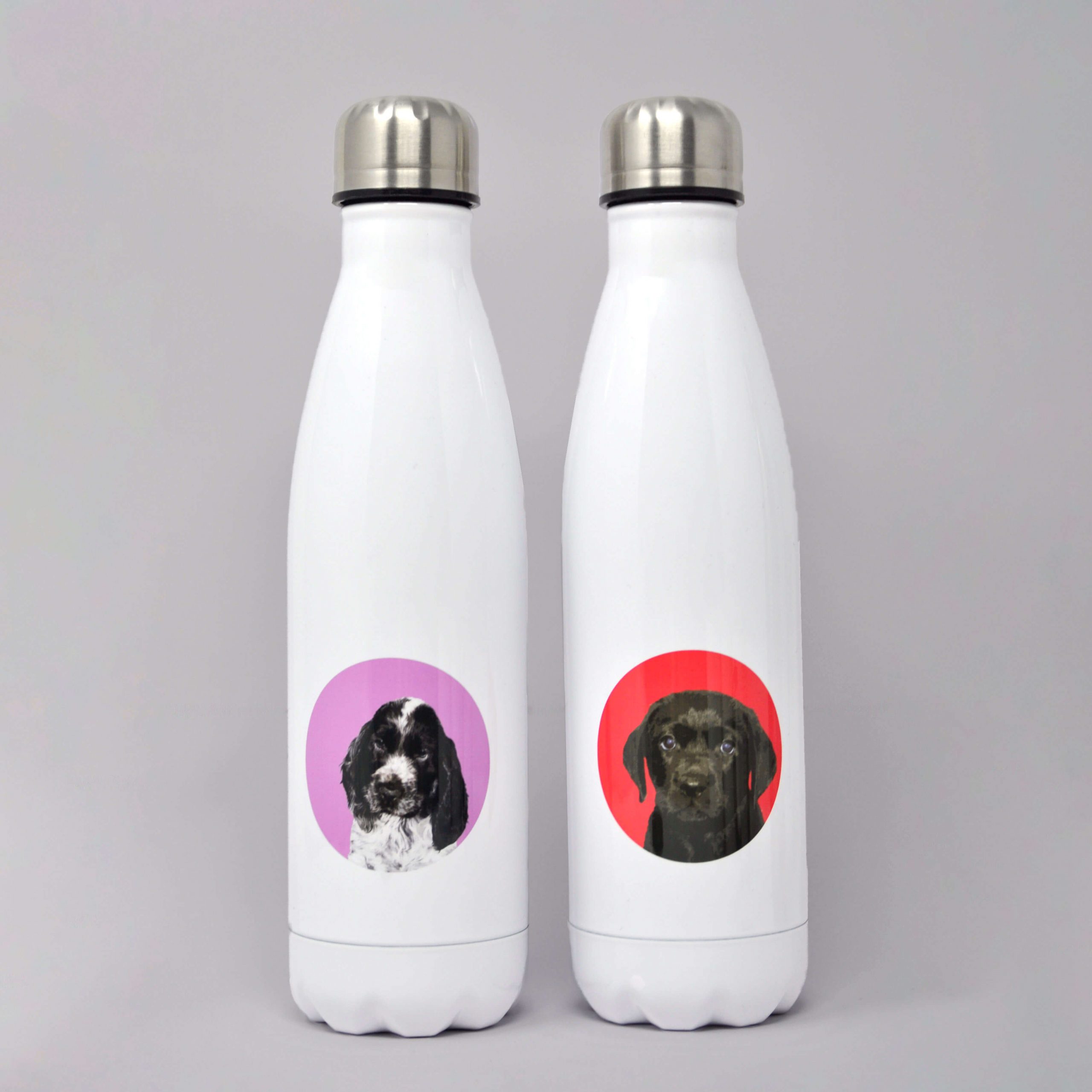 dog portrait water bottle