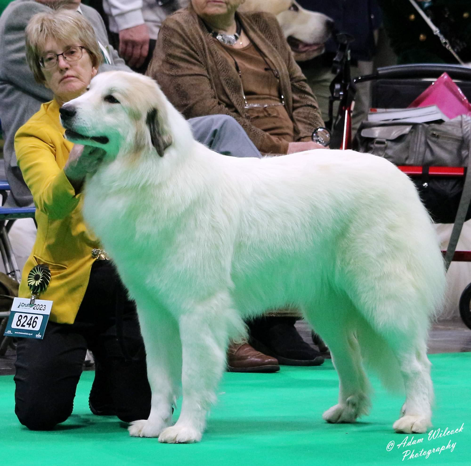 Mum of  puppies